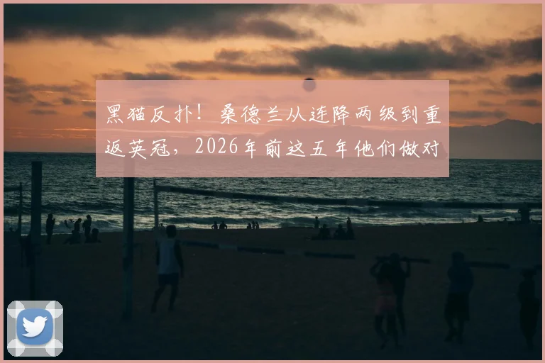 黑猫反扑!桑德兰从连降两级到重返英冠,2026年前这五年他们做对了什么?