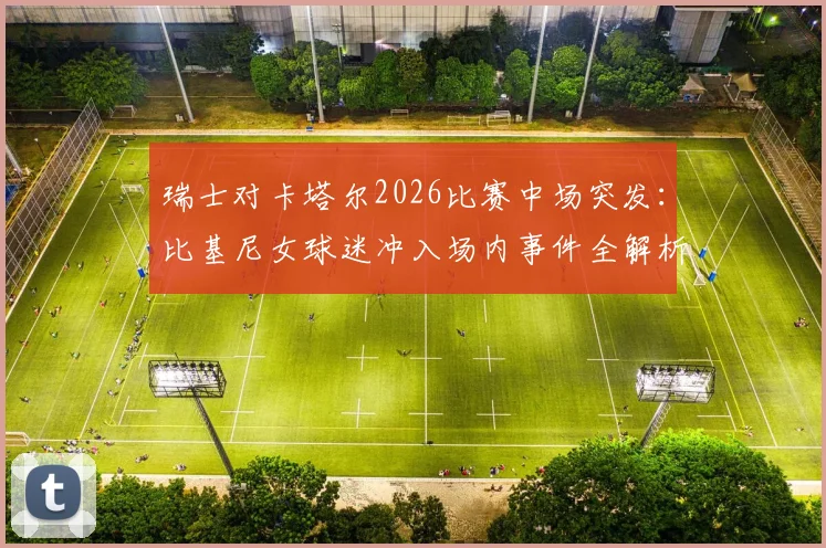 瑞士对卡塔尔2026比赛中场突发:比基尼女球迷冲入场内事件全解析,后续处理与球场安全引深思